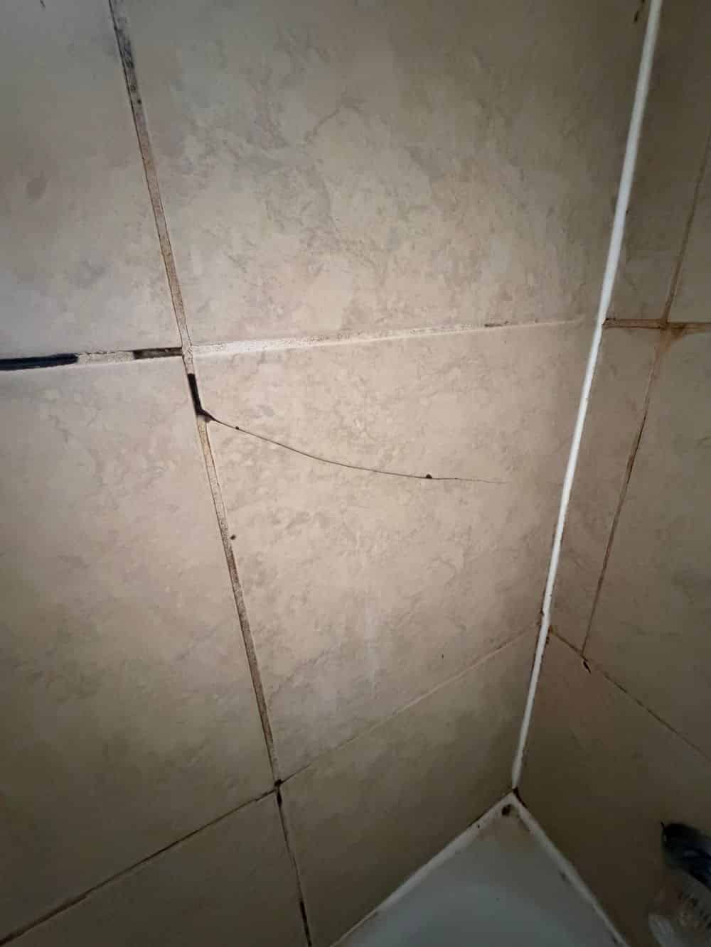 porcelain repairs image
