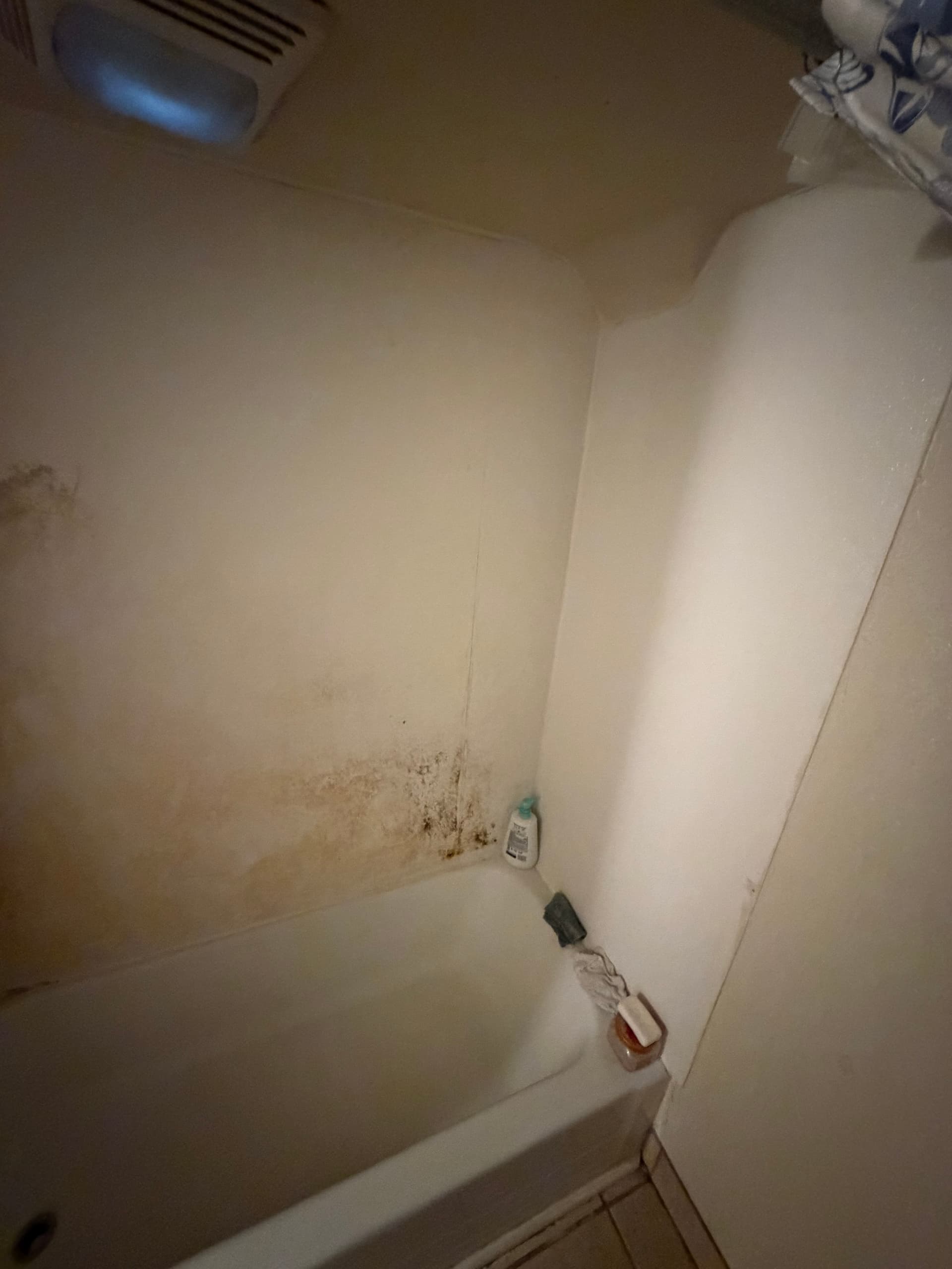Badly Neglected Tub Surround Gets a Full Refinish in Milwaukee image