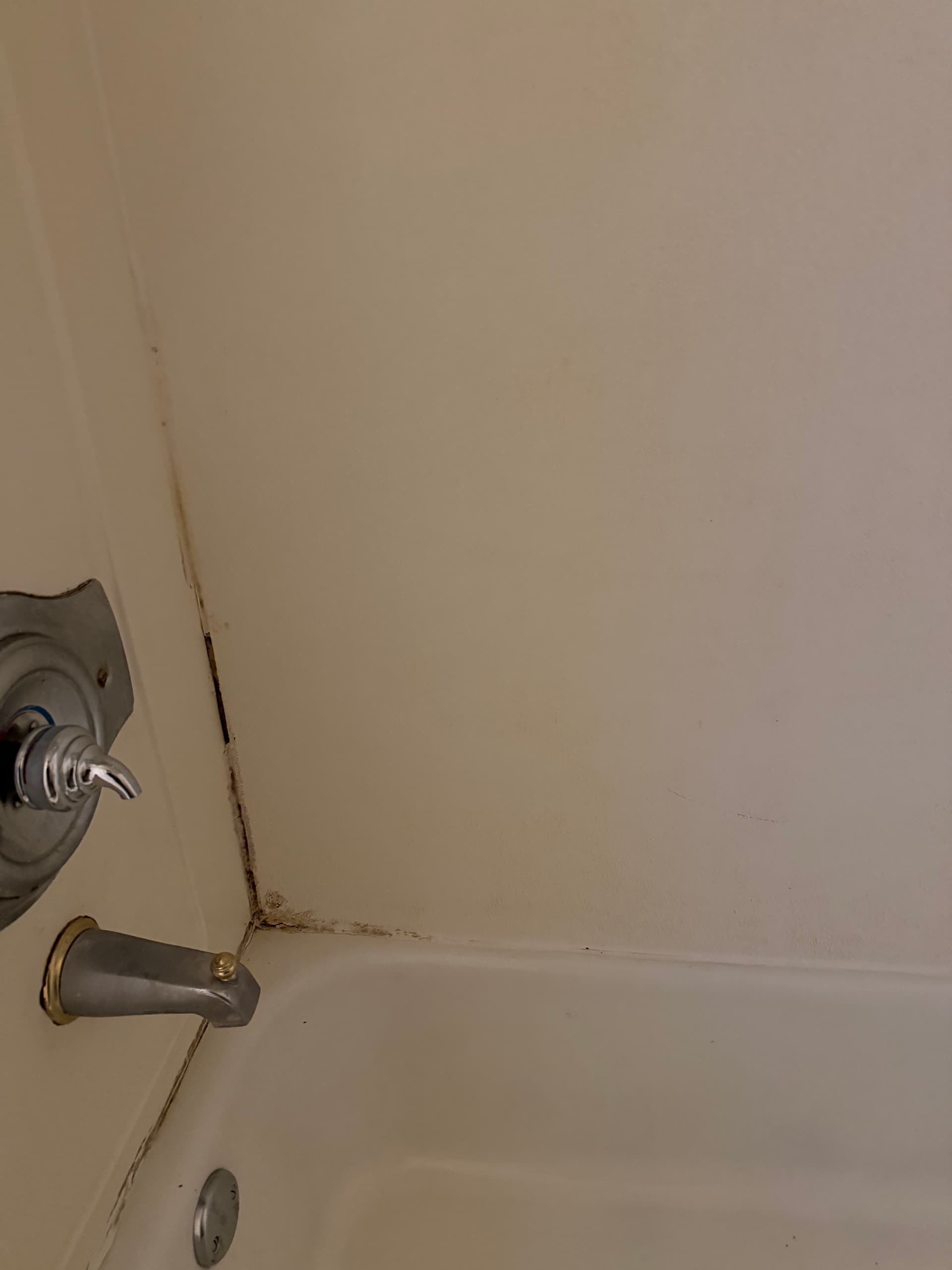 Gallery photos for Badly Neglected Tub Surround Gets a Full Refinish in Milwaukee: Image #3