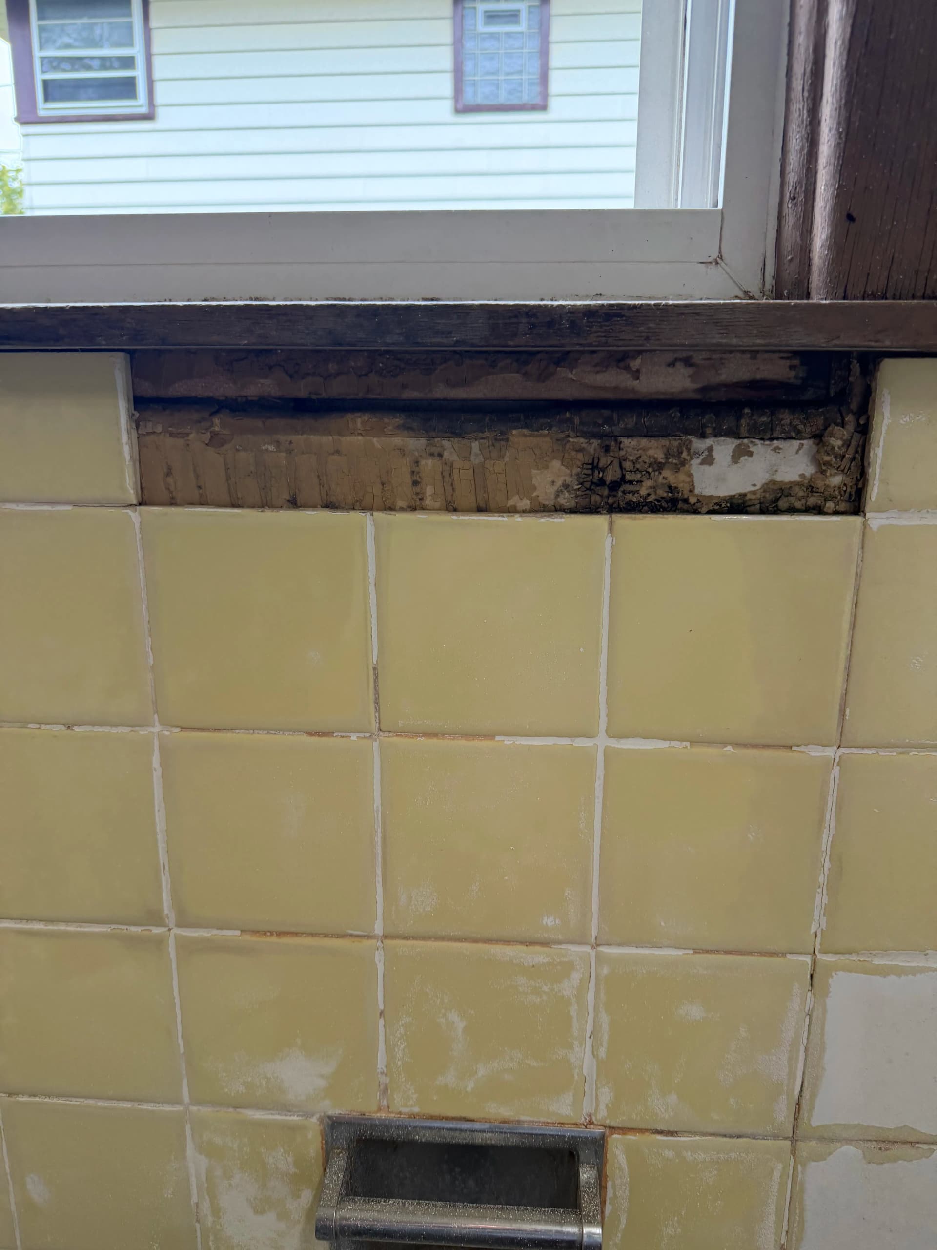 Gallery photos for Shower Leak Repair and Full Tub Refinish Without the Demo Mess: Image #1