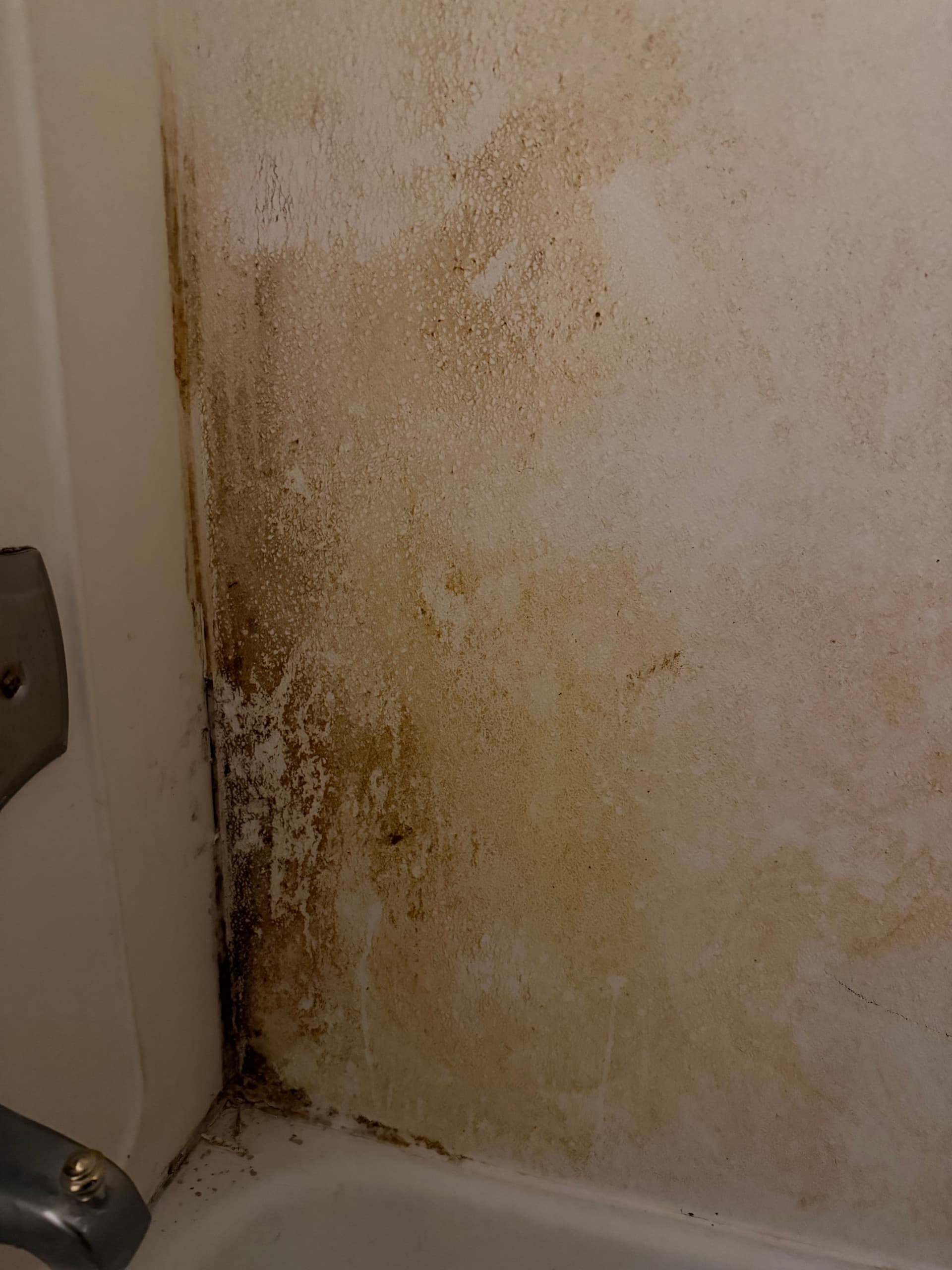 Gallery photos for Badly Neglected Tub Surround Gets a Full Refinish in Milwaukee: Image #2