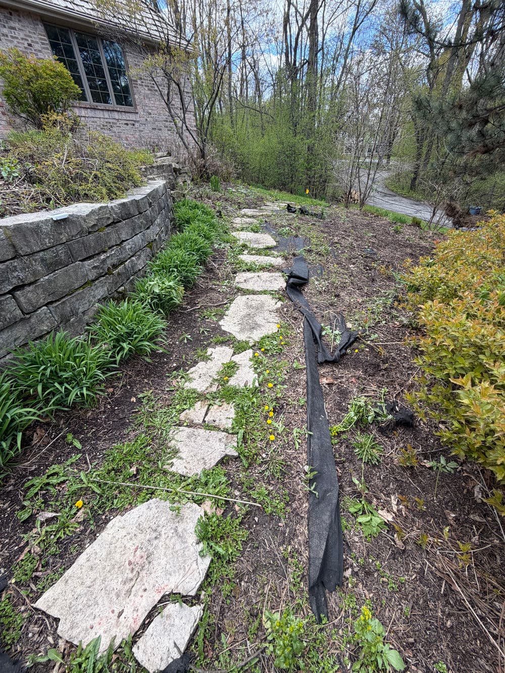 Stone pathway through a garden with green plants and a backdrop of trees and a house.